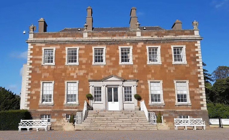 Screenshot 2025-04-29 222004